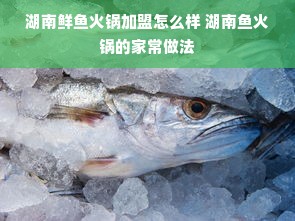 湖南鲜鱼火锅加盟怎么样 湖南鱼火锅的家常做法