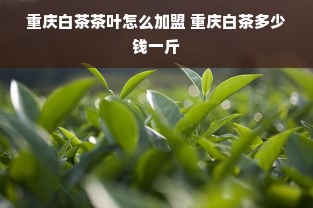 家电产品品牌，深度解析与实例探究