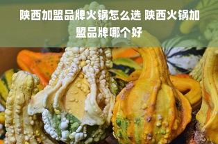 鹿优选额度怎么套出来?二手苹果鹿优选额度