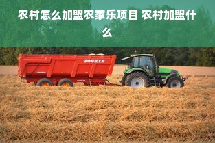 农村怎么加盟农家乐项目 农村加盟什么