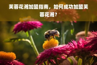 盘点那些让你翩翩起舞的汉服品牌—舞者必备！