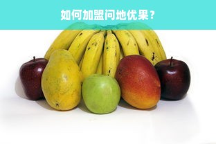如何加盟问地优果？