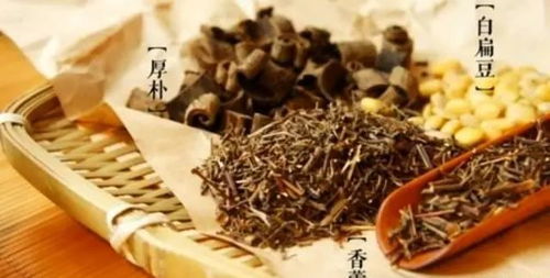 鼎御贡茶加盟指南，如何成功加盟鼎御贡茶？