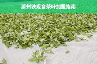 湖州铁观音茶叶加盟指南