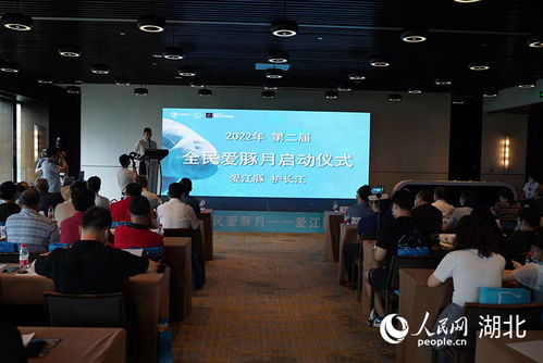 如何加盟一家金店，从准备到实现的全面指南