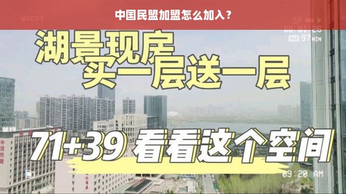 中国民盟加盟怎么加入？