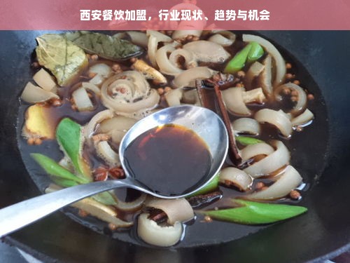 最新同程花呗套出攻略详解，操作指南与案例分析
