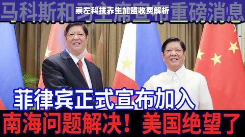 京东白条收款如何提现？一文搞懂
