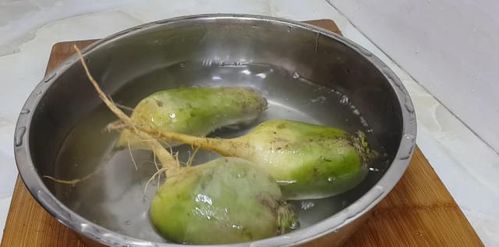 天津抄手加盟的机遇与挑战