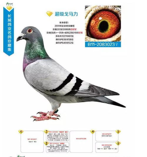 麦田面条加盟怎么样？值得考虑吗？