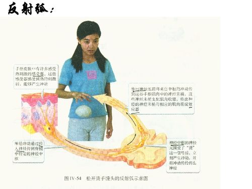 麦田面条加盟怎么样？值得考虑吗？