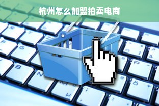 杭州怎么加盟拍卖电商