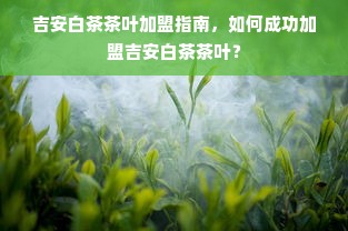 吉安白茶茶叶加盟指南，如何成功加盟吉安白茶茶叶？