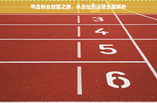 鸭血粉丝加盟之路，从选址到运营全面解析