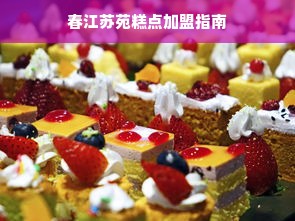 辽中租房冰箱推荐品牌，性价比与品质并存的选择