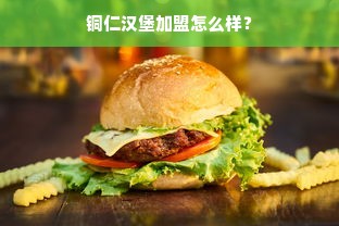 铜仁汉堡加盟怎么样?