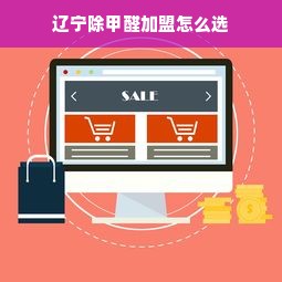 辽宁除甲醛加盟怎么选