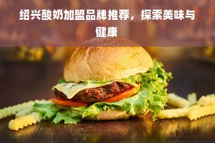 绍兴酸奶加盟品牌推荐，探索美味与健康