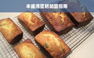 瑞士医药品牌的独特魅力与卓越品质