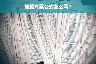 加盟方案公式怎么写？