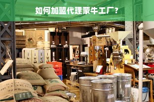 早教亲子加盟，携手共创美好未来