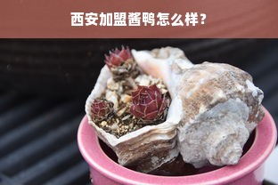 西安加盟酱鸭怎么样？