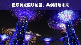 母婴有机品牌，守护新生，倾情打造健康未来