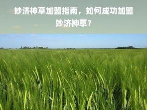 杨总22，揭秘干洗店品牌成功之道