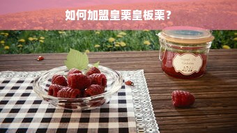 盘点2023年对开门冰箱热门品牌，哪个更值得你入手？