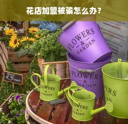 国内茶叶品牌崛起之路，从传统到现代的华丽蜕变