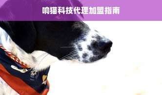 美国干洗机品牌大盘点，哪些品牌好用又值得信赖？
