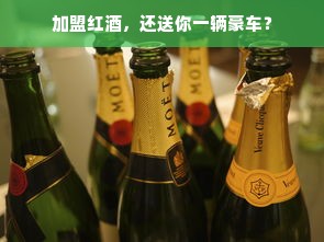 如山母婴品牌，品质守护，母婴无忧