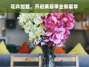 京东白条额度如何套出？最高额度能有多少？