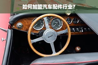 蓝莓果早教幼小加盟费详解，从入门到运营的全攻略