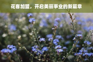 冰箱蓝牙推荐，哪个品牌值得信赖，性价比高？