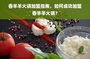 如何查询京东白条额度并了解提现商家