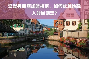 福建省家电组装线品牌，蓬勃发展之路与成功案例解析