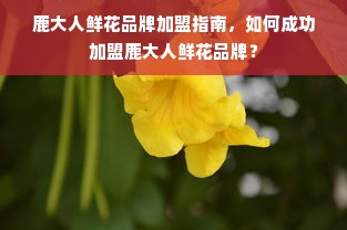 盘点防腐油漆市场上的热门品牌及特点