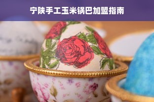 宁陕手工玉米锅巴加盟指南