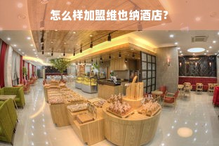 怎么样加盟维也纳酒店？