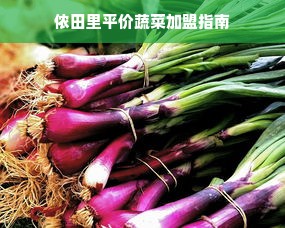 定制你的专属冰宫—盘点热门可定制冰箱品牌及案例