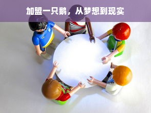 加盟一只鹅，从梦想到现实