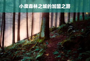 女士专用面膜外套品牌推荐，美丽肌肤的贴心守护者