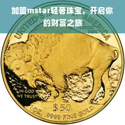 加盟mstar轻奢珠宝，开启你的财富之旅