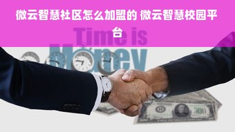 京东白条额度套现与额度调整应对策略