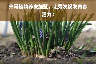 齐河植物养发加盟，让秀发焕发青春活力！