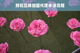 淘宝先用后付额度如何套出来，淘宝先用后付临时额度到期再申请