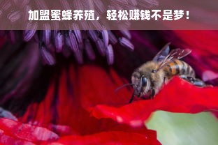 餐饮品牌自动窗户，智能化升级的新趋势与实际应用案例
