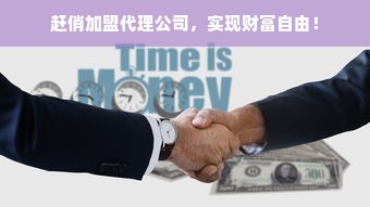 品牌家电招商加盟，共创共赢之路，携手共创未来