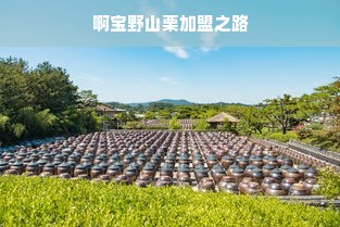 贵州母婴品牌，品质与传承的完美结合